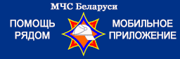 Мобильное приложение 
